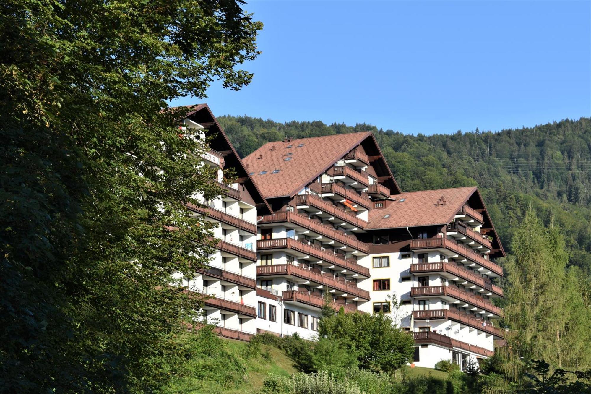Apartment D 'Freizeit Bad Goisern Dış mekan fotoğraf